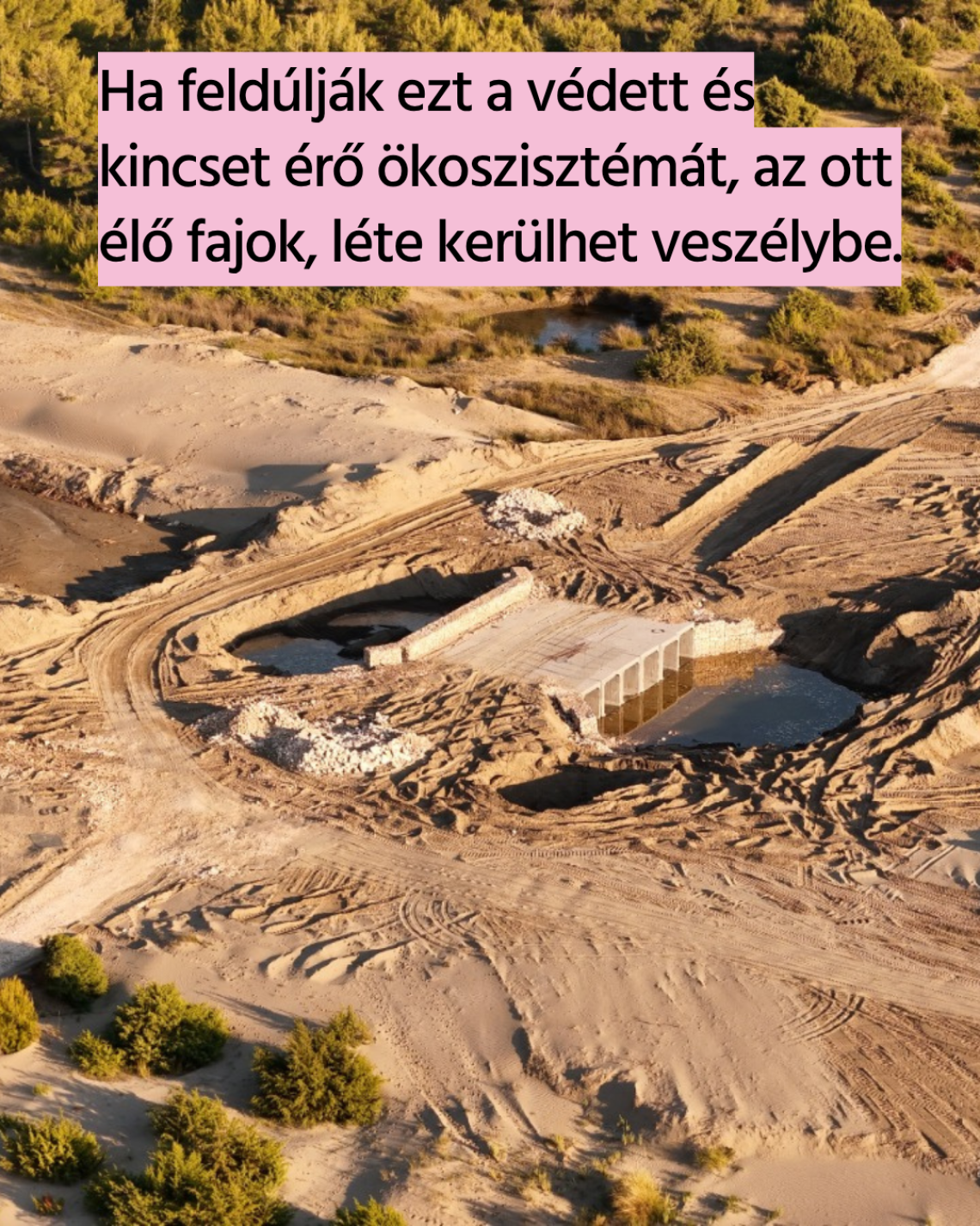 Vjosa-delta 