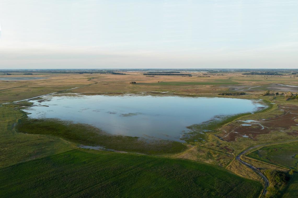 A pusztaszeri Vesszős-szék (Fotó: Csibrány Balázs)
