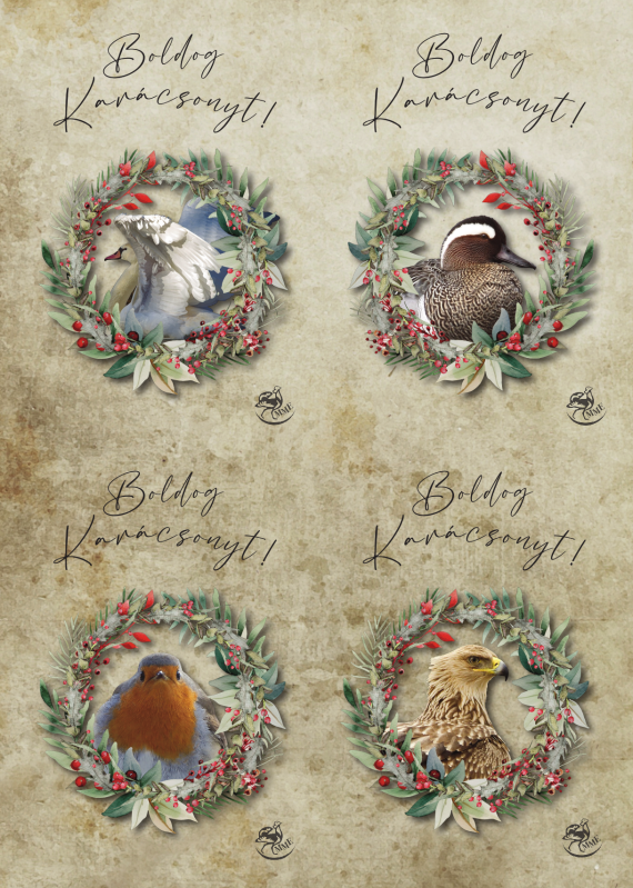 letoltheto_karacsonyi_kepeslapok_nyomtatashoz_Madartavlat-Csipogo_2025.png