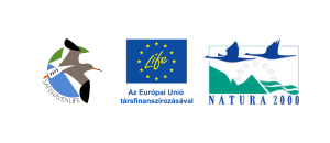 safehaven life és szponzor logók