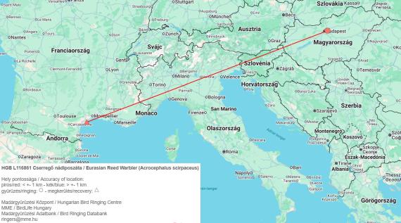 Cserregő nádiposzáta Franciaországban