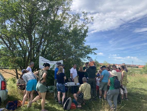 Tótvázsony, gyurgyalaggyűrűzés