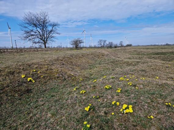 Várbalogi Héricses Természetvédelmi Terület (Fotó: Bodics Dániel)