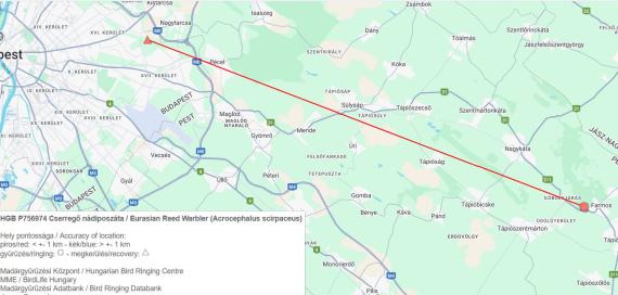 Farmosról a Naplásra, cserregő
