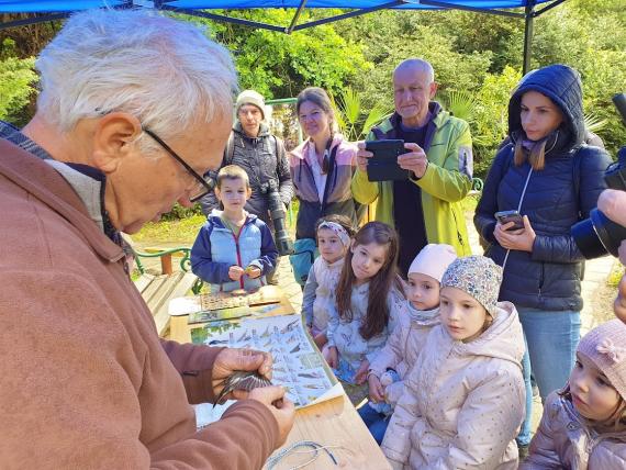 madárgyűrűzési bemutató