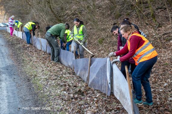 Békaterelő állítás Tardos