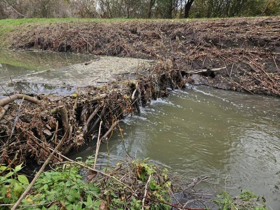 Fenékküszöb Csever-árok