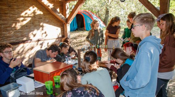 Ferencmajor gyűrűzés