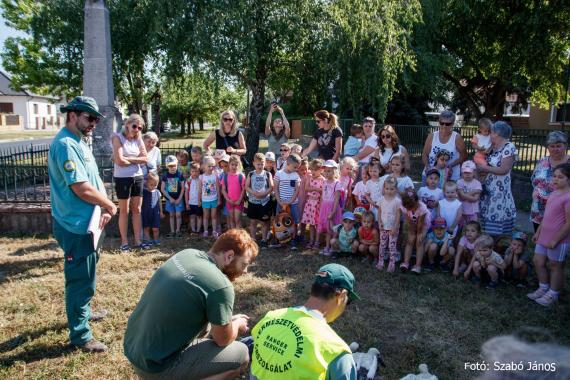 Gólya gyűrűzés Komáromi hcs