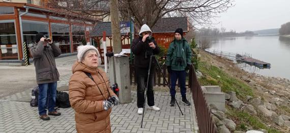 Sasszinkron a Dunán ( Fotó: Antoni Gyula)