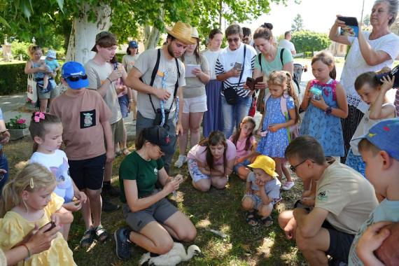 IV. Szanyi Gólyafesztivál ( Fotó: Binzberger Viktor)