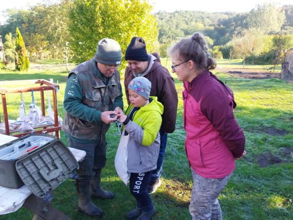 Európai Maármegfigyelő Napok Patakon