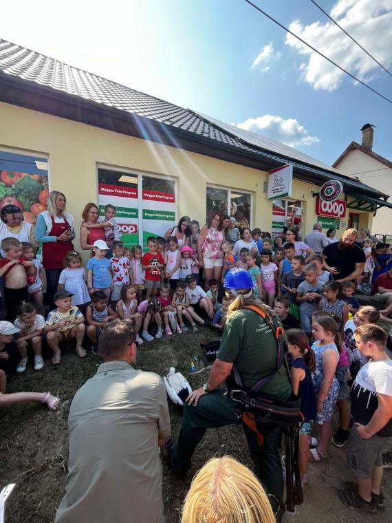 Fehérgólya jelölés Nőtincs