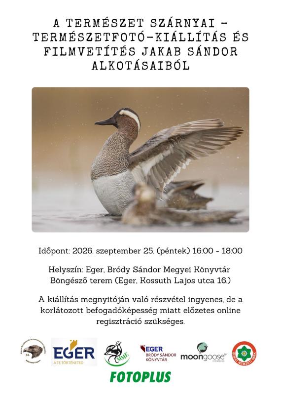 A természet szárnyai poszter